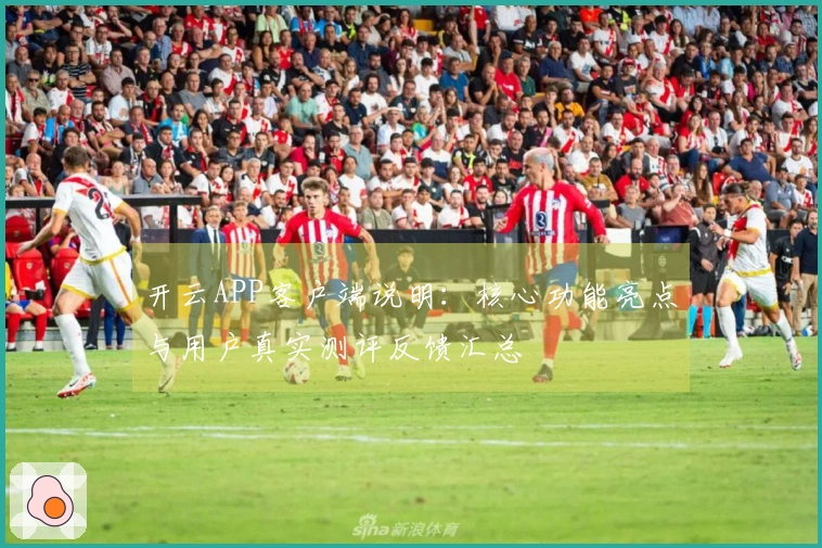 开云APP客户端说明：核心功能亮点与用户真实测评反馈汇总