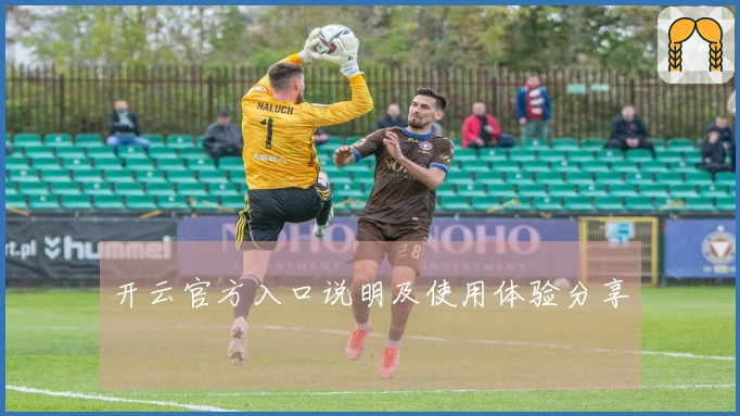 开云官方入口说明及使用体验分享